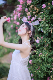 野花影视手机